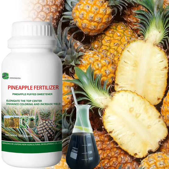 High-Yield Organic Pineapple Fertilizer Liquid Sweetening and Swelling Agent Specific for Pineapple