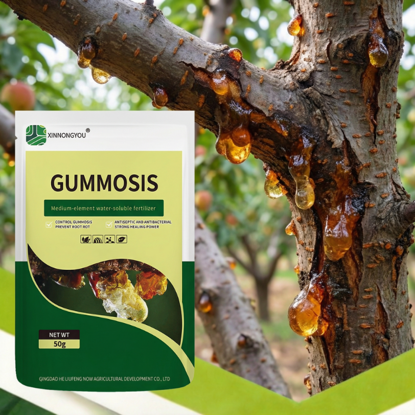 Treatment of gummosis disease