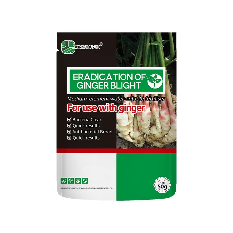 ERADICATION OF GINGER BLIGHT