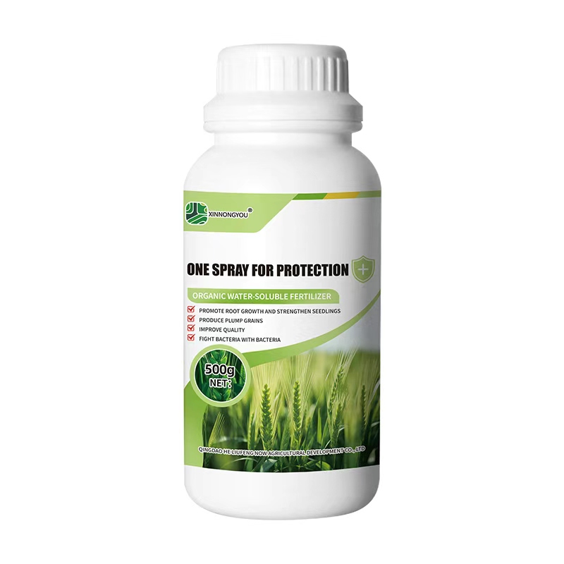 Wheat Fertilizer