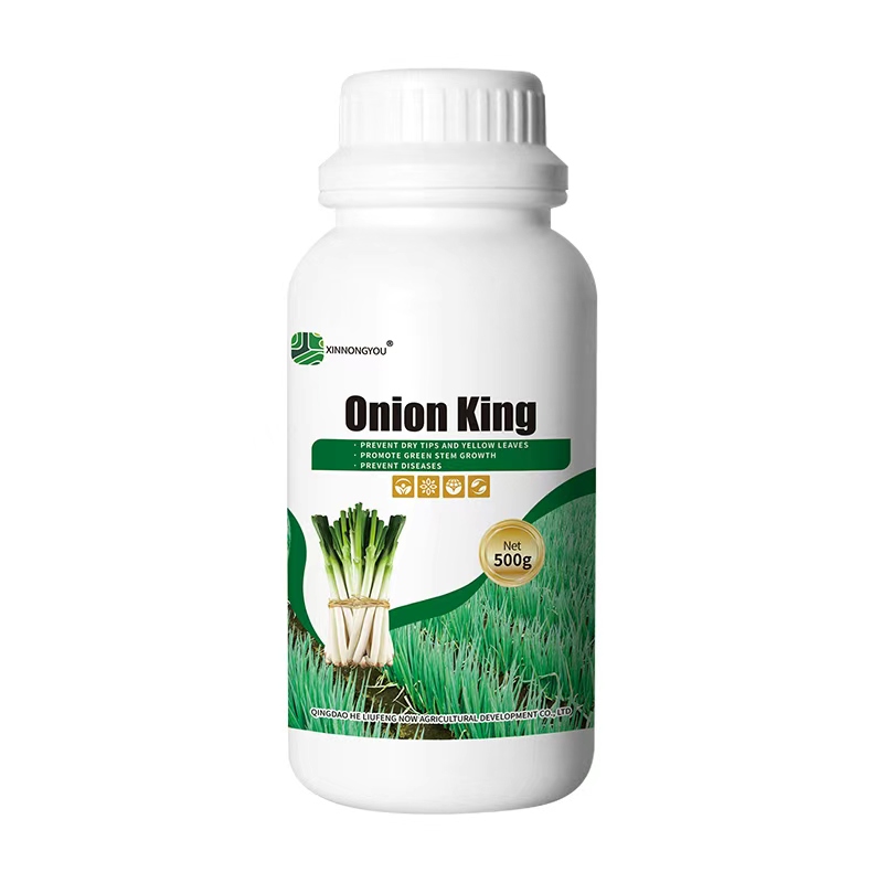 Onion King
