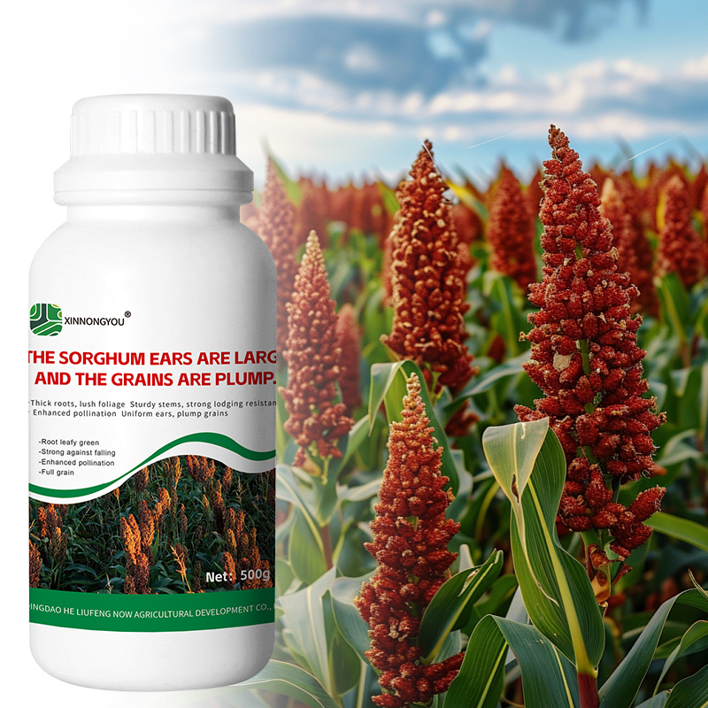 SPECIALIZED HIGH-YIELD FERTILIZER FOR SORGHUM