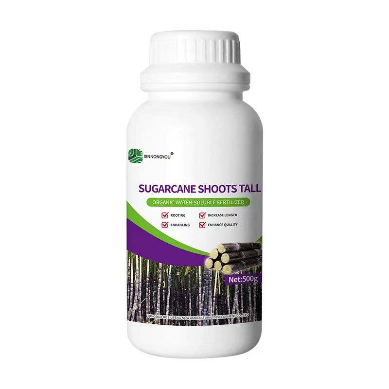 SUGARCANE SHOOTS TALL