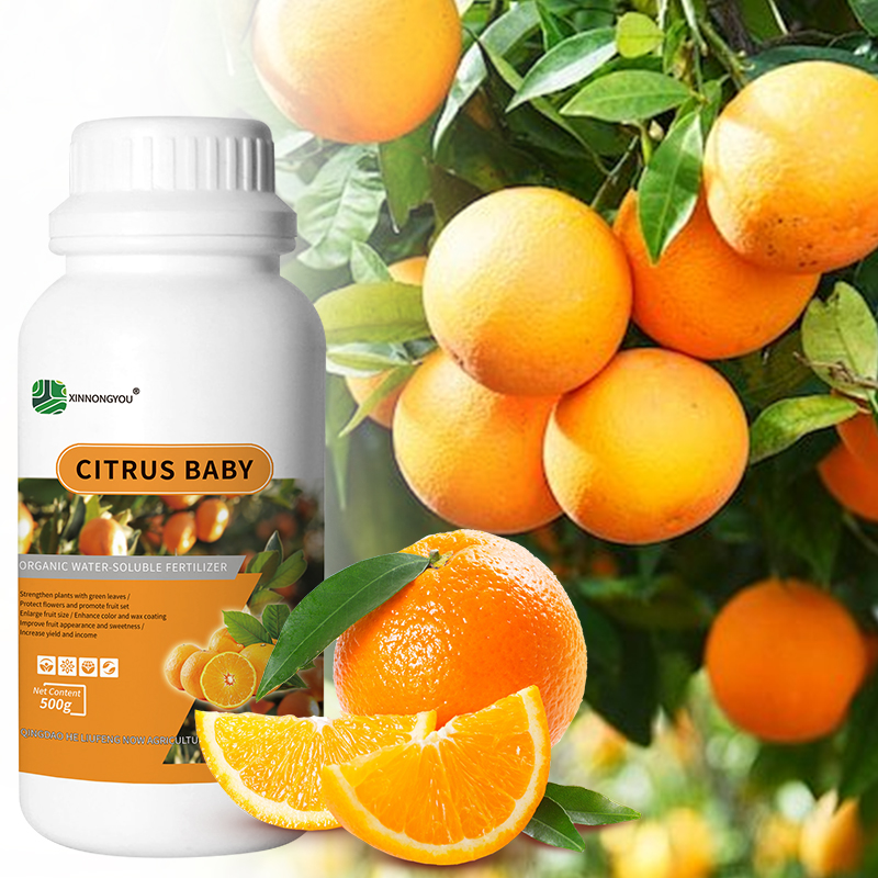 SPECIALIZED HIGH-YIELD FERTILIZER FOR CITRUS
