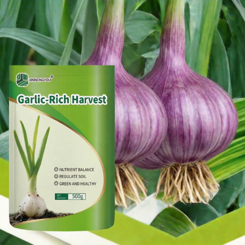 garlic rich harvest