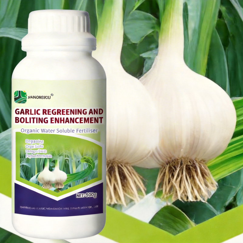 Specialized Fertilizer for High-Yield Garlic