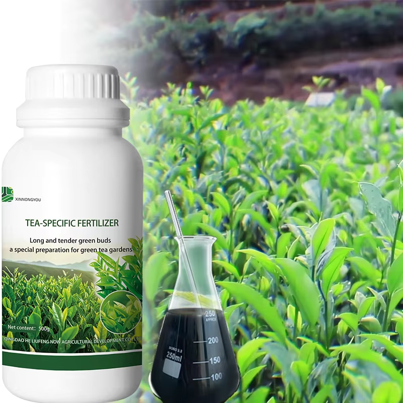 Tea Stimulant for Germination