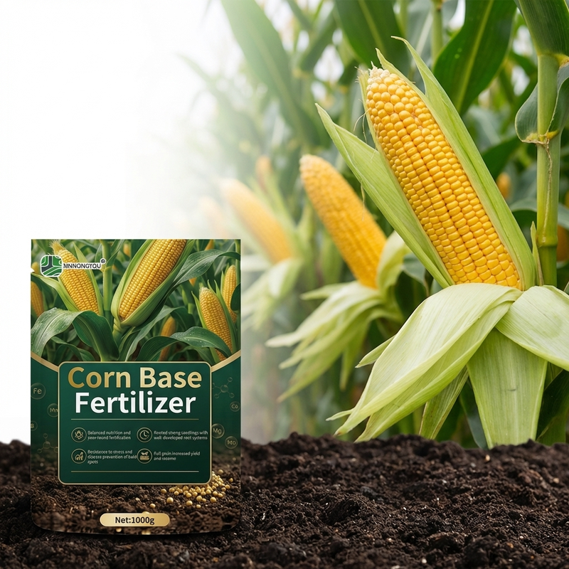 Base Fertilizer for Corn