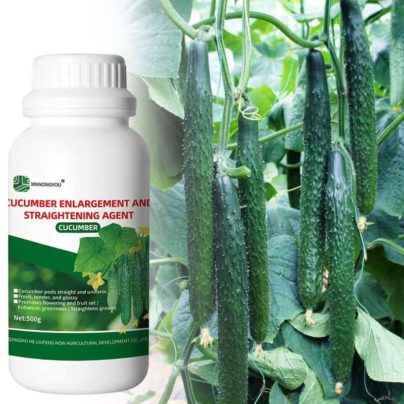 SPECIALIZED FERTILIZERFORCUCUMBERENLARGEMENT AND STRAIGHTENING