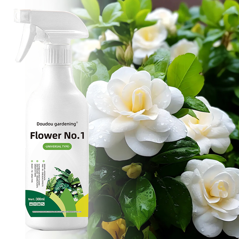 Flower Care No. 1
