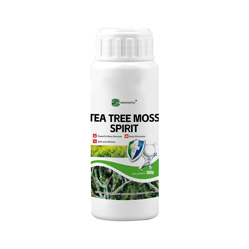 TEA TREE MOSS SPIRIT