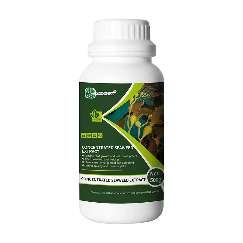 CONCENTRATED SEAWEED EXTRACT
